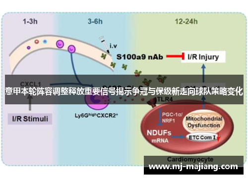 意甲本轮阵容调整释放重要信号揭示争冠与保级新走向球队策略变化